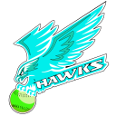 Hawks Logo